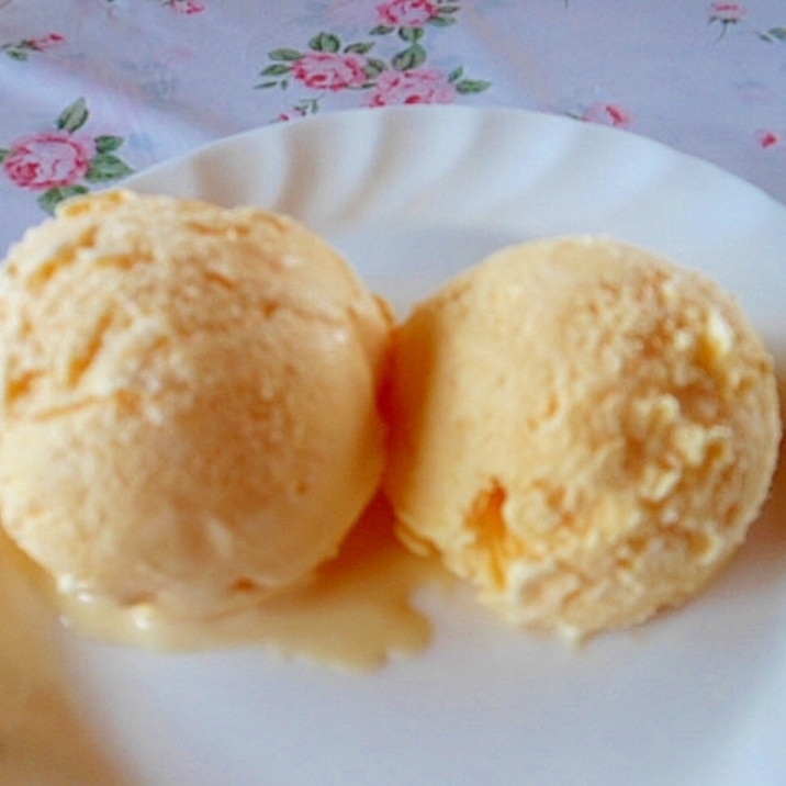 バニラ アイス 作り方 簡単 の 【アイスクリームの作り方】保存袋で“もむ”だけの簡単レシピ